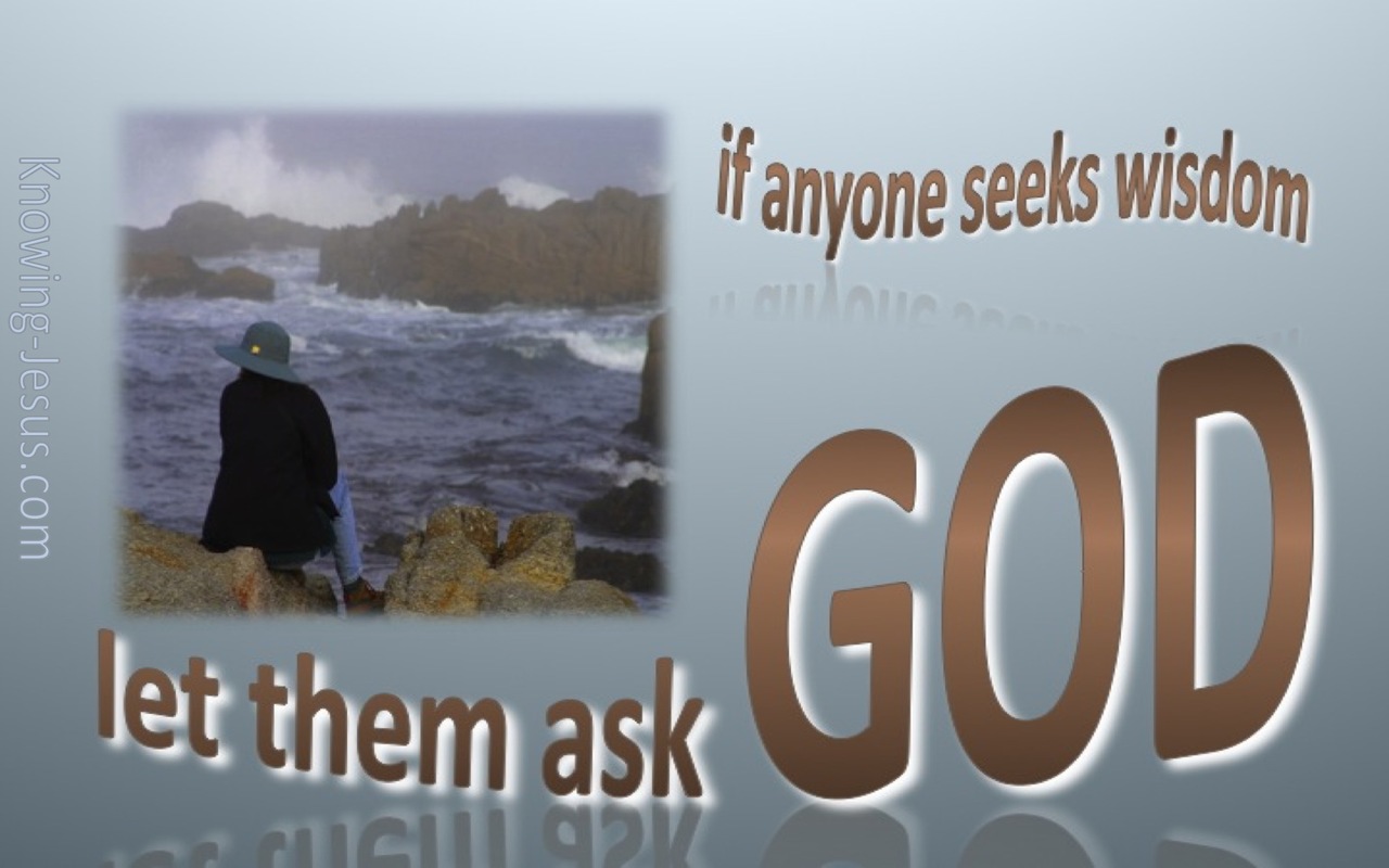James 1:5 Seek Wisdom Ask God (gray)
